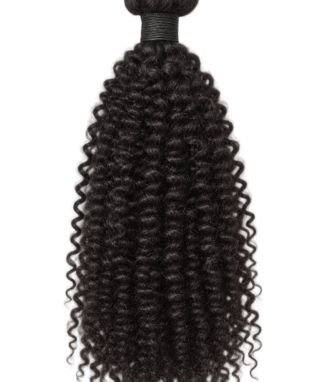 Ladys – Perruques longues curly – noir naturel